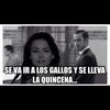 mimis308